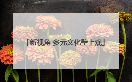 新视角 多元文化壁上观