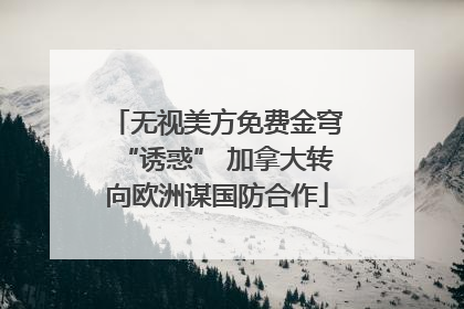 无视美方免费金穹“诱惑” 加拿大转向欧洲谋国防合作