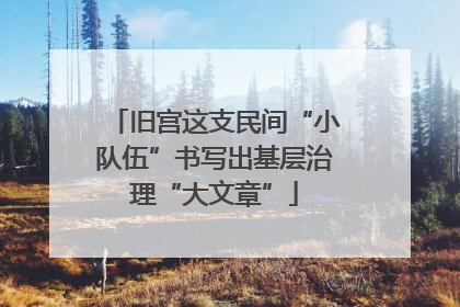 旧宫这支民间“小队伍”书写出基层治理“大文章”