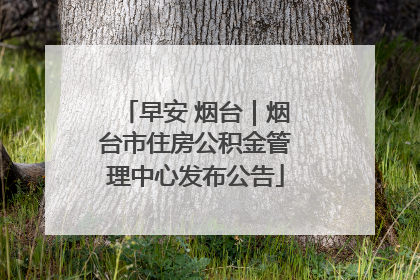 早安 烟台｜烟台市住房公积金管理中心发布公告