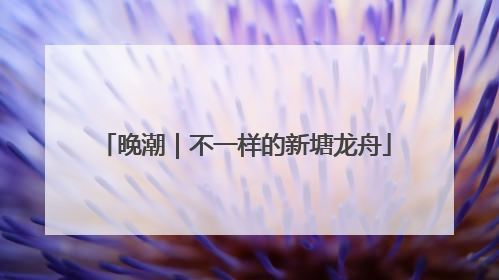 晚潮｜不一样的新塘龙舟