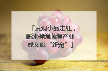 景观小品走红，临沭柳编藤编产业成文旅“新宠”