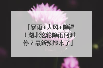 暴雨+大风+降温！湖北这轮降雨何时停？最新预报来了