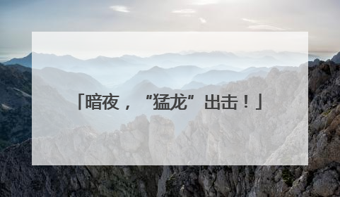 暗夜，“猛龙”出击！