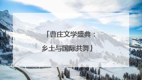 曹庄文学盛典：乡土与国际共舞