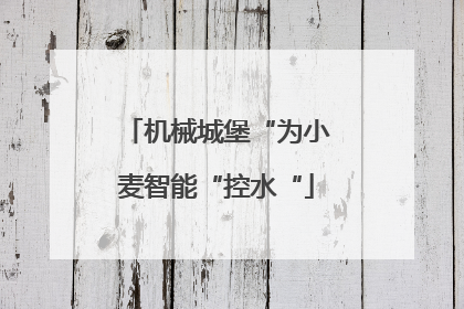机械城堡“为小麦智能“控水“