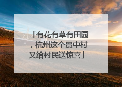 有花有草有田园，杭州这个景中村又给村民送惊喜