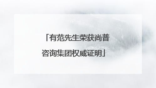 有范先生荣获尚普咨询集团权威证明