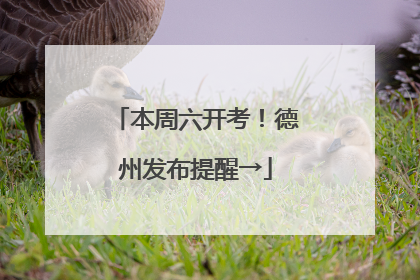 本周六开考！德州发布提醒→