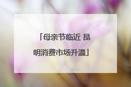母亲节临近 昆明消费市场升温