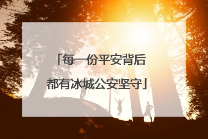 每一份平安背后 都有冰城公安坚守
