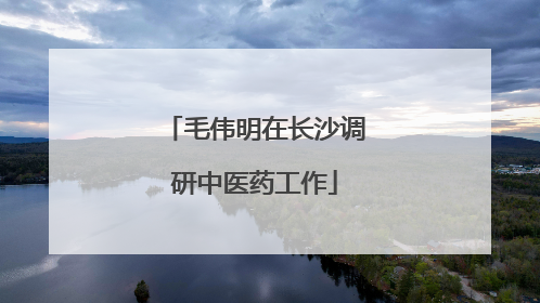 毛伟明在长沙调研中医药工作