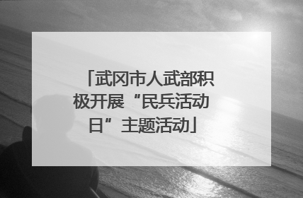 武冈市人武部积极开展“民兵活动日”主题活动
