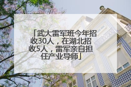 武大雷军班今年招收30人，在湖北招收5人，雷军亲自担任产业导师