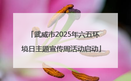 武威市2025年六五环境日主题宣传周活动启动
