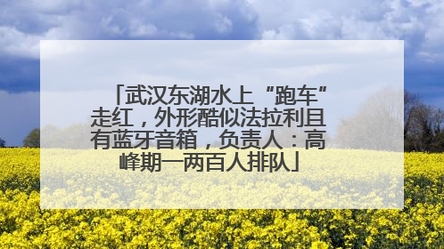 武汉东湖水上“跑车”走红，外形酷似法拉利且有蓝牙音箱，负责人：高峰期一两百人排队