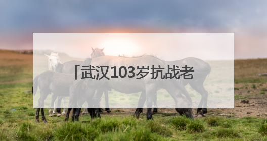 武汉103岁抗战老兵再喊80年前劝日军投降的话 “缴枪不杀，放你回家”