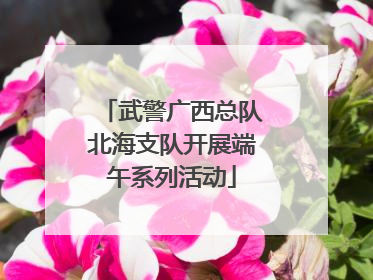 武警广西总队北海支队开展端午系列活动