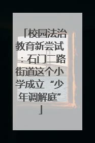 校园法治教育新尝试：石门二路街道这个小学成立“少年调解庭”