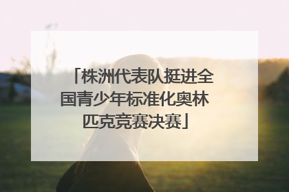 株洲代表队挺进全国青少年标准化奥林匹克竞赛决赛