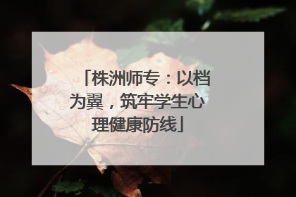 株洲师专：以档为翼，筑牢学生心理健康防线