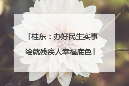 桂东：办好民生实事 绘就残疾人幸福底色
