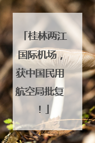 桂林两江国际机场，获中国民用航空局批复！
