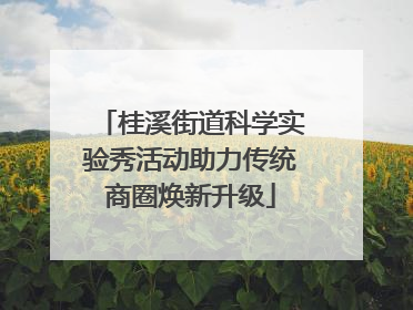 桂溪街道科学实验秀活动助力传统商圈焕新升级