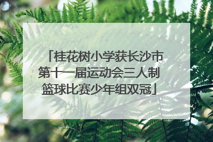 桂花树小学获长沙市第十一届运动会三人制篮球比赛少年组双冠