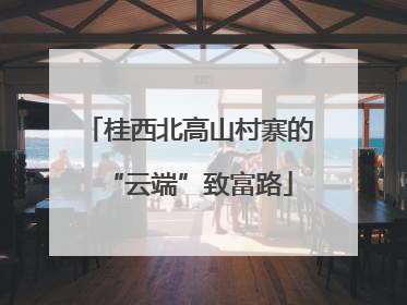 桂西北高山村寨的“云端”致富路