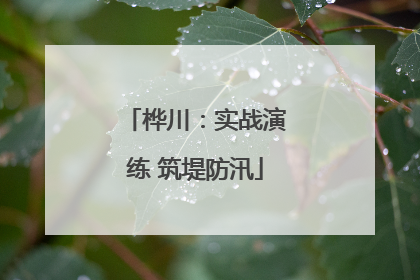 桦川：实战演练 筑堤防汛