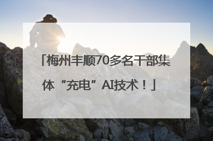 梅州丰顺70多名干部集体“充电”AI技术！