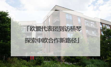 欧盟代表团到访横琴 探索中欧合作新路径