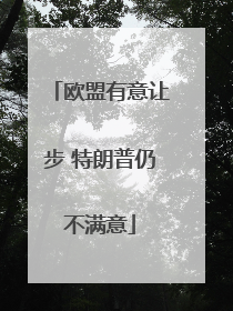 欧盟有意让步 特朗普仍不满意