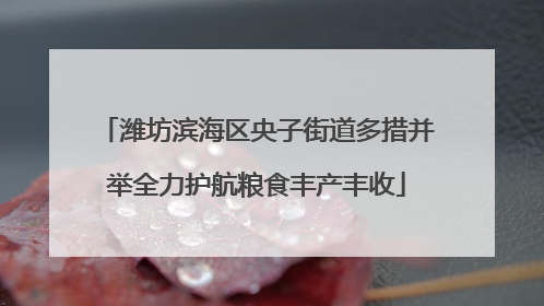 潍坊滨海区央子街道多措并举全力护航粮食丰产丰收