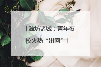 潍坊诸城：青年夜校火热“出圈”