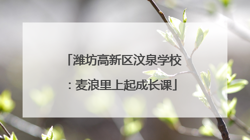 潍坊高新区汶泉学校：麦浪里上起成长课