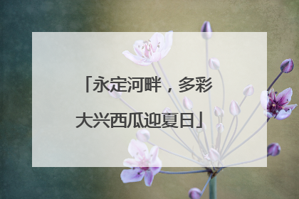 永定河畔，多彩大兴西瓜迎夏日