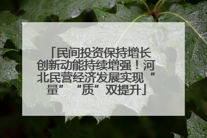 民间投资保持增长 创新动能持续增强！河北民营经济发展实现“量”“质”双提升