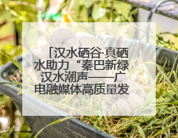 汉水硒谷·真硒水助力“秦巴新绿 汉水潮声——广电融媒体高质量发展陕西采访行”