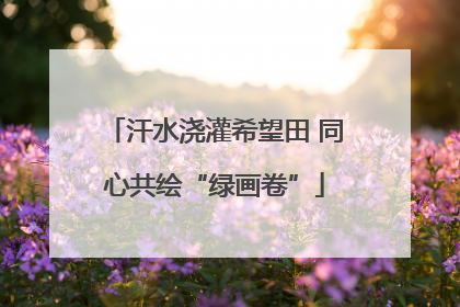 汗水浇灌希望田 同心共绘“绿画卷”