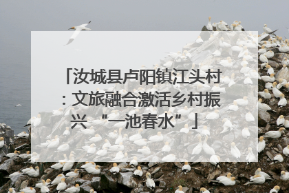 汝城县卢阳镇江头村：文旅融合激活乡村振兴 “一池春水”