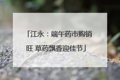 江永：端午药市购销旺 草药飘香迎佳节
