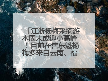 江浙杨梅采摘游本周末或迎小高峰！目前在售东魁杨梅多来自云南、福建，浙江露天东魁杨梅6月中旬大量上市