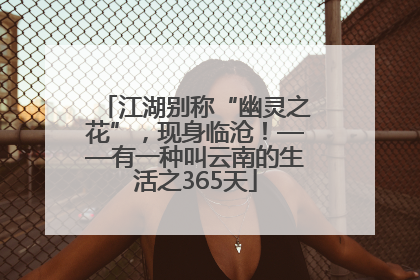 江湖别称“幽灵之花”，现身临沧！——有一种叫云南的生活之365天