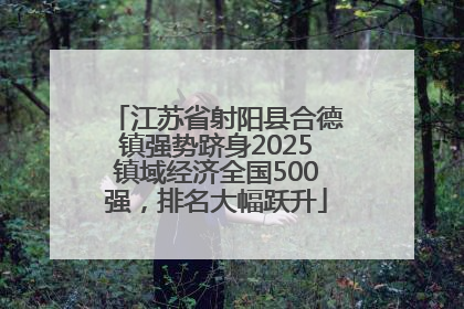 江苏省射阳县合德镇强势跻身2025镇域经济全国500强，排名大幅跃升