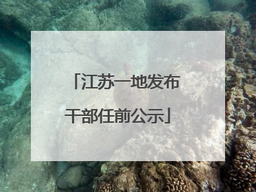 江苏一地发布干部任前公示