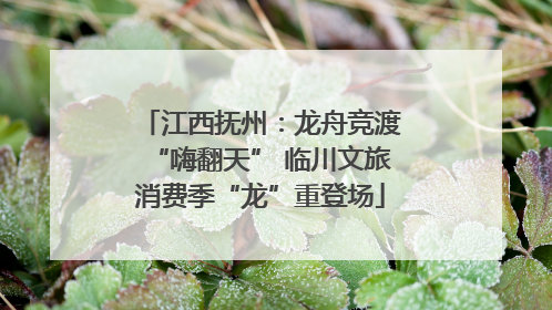 江西抚州：龙舟竞渡“嗨翻天” 临川文旅消费季“龙”重登场