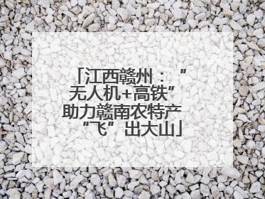 江西赣州：“无人机+高铁”助力赣南农特产“飞”出大山