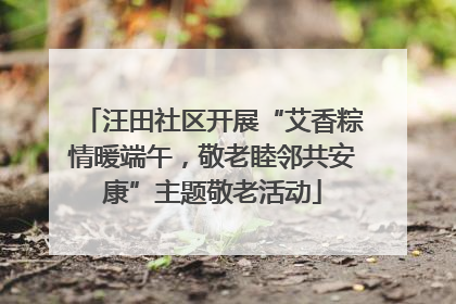 汪田社区开展“艾香粽情暖端午，敬老睦邻共安康”主题敬老活动
